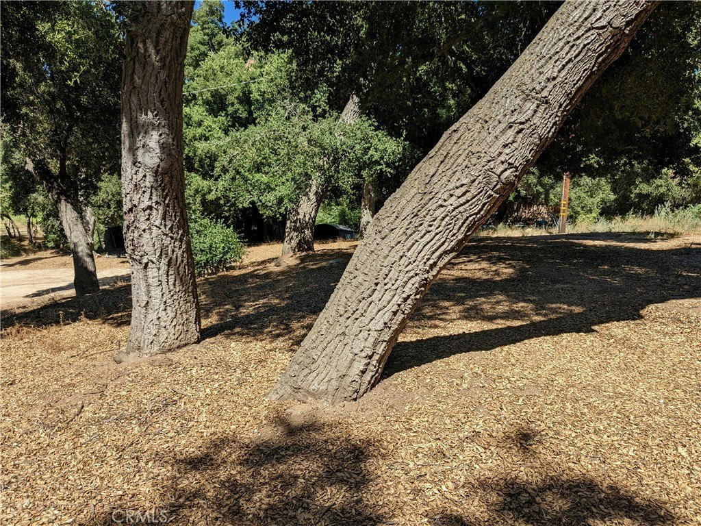 San Francisquito Cyn Rd - 0 bed 0 bath home in Green Valley