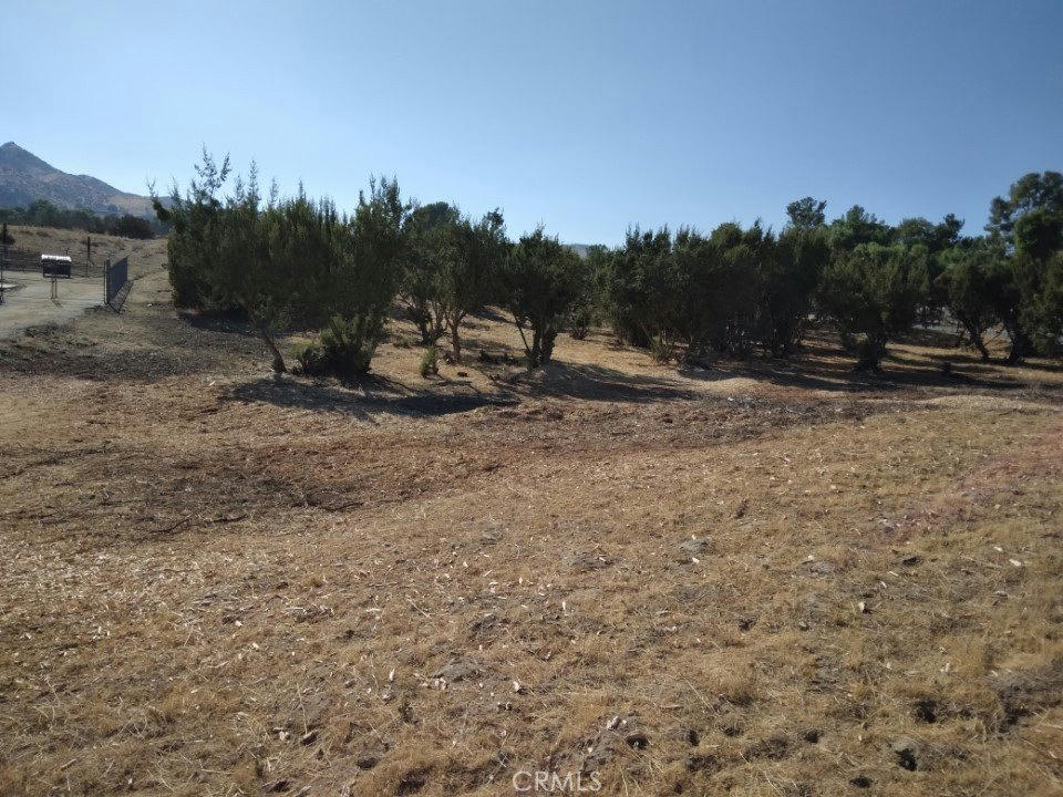 Agua Dulce Cyn - 0 bed 0 bath home in Agua Dulce